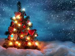 Verlichte kerstboom