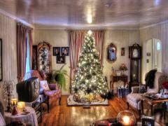 Kerstboom midden in de kamer