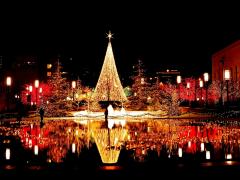 Grote verlichte kerstboom