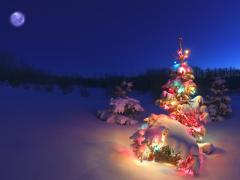 Kerstboom versierd met gekleurde kerstverlichting
