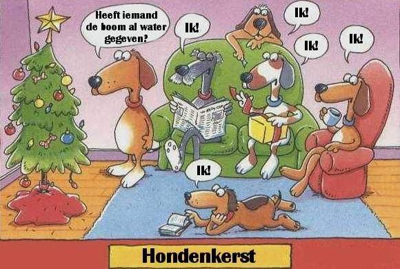 Kerstfun: Hondenkerst