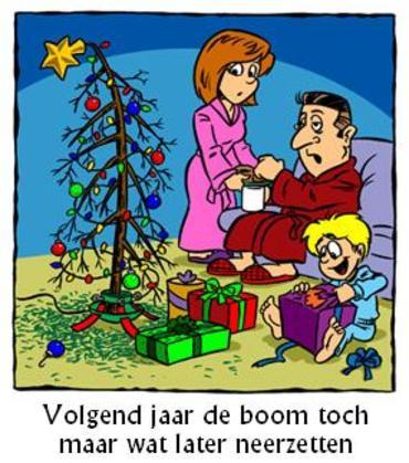 Kerstfun: Naaldenuitval